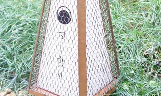 すし 良月 離れ