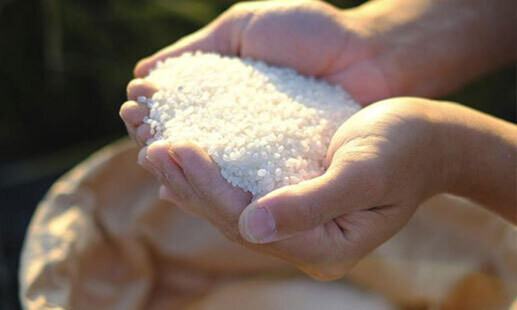 [開催終了][2/6開催]【ザ・リッツ・カールトン京都】ヤマダファーム × 月の桂 × 伏見乃  水暉コラボレーションイベント