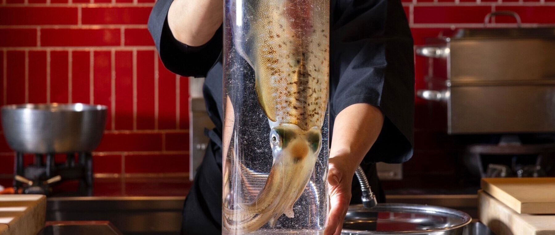 馳走屋 河のの4枚目のカバー画像