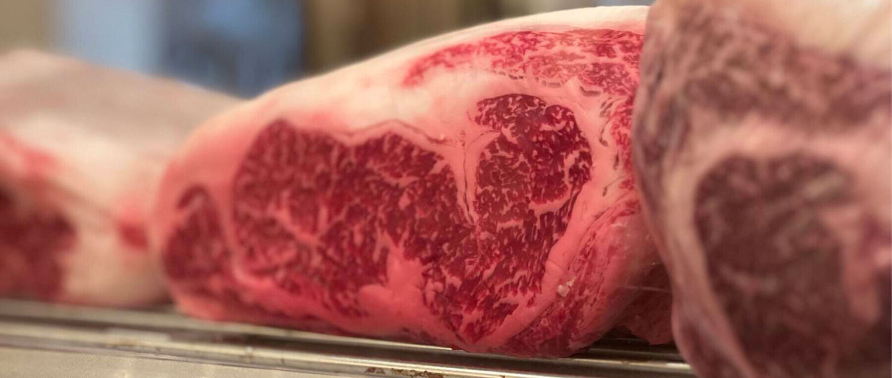 タニュの8枚目のカバー画像