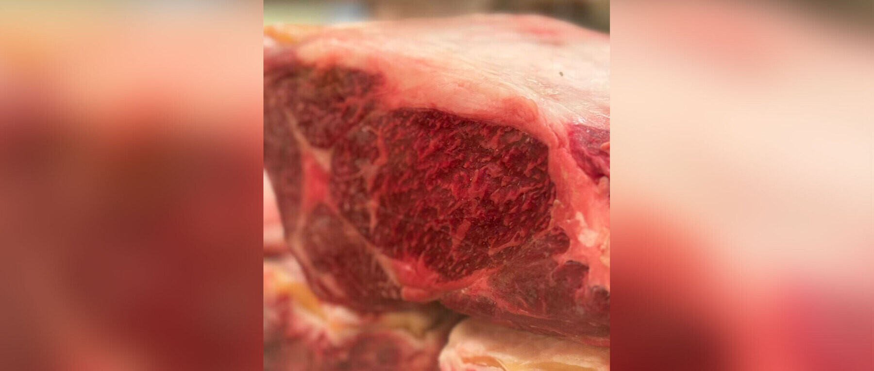 ダニュの1枚目のカバー画像