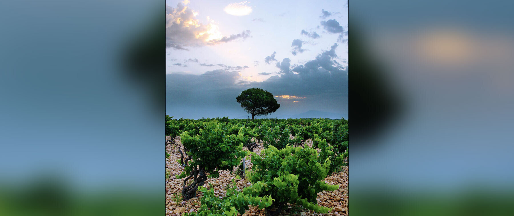 [11/19開催] 【CYCLE by Mauro Colagreco】Domaine de Marcoux メーカーズディナーの2枚目のカバー画像