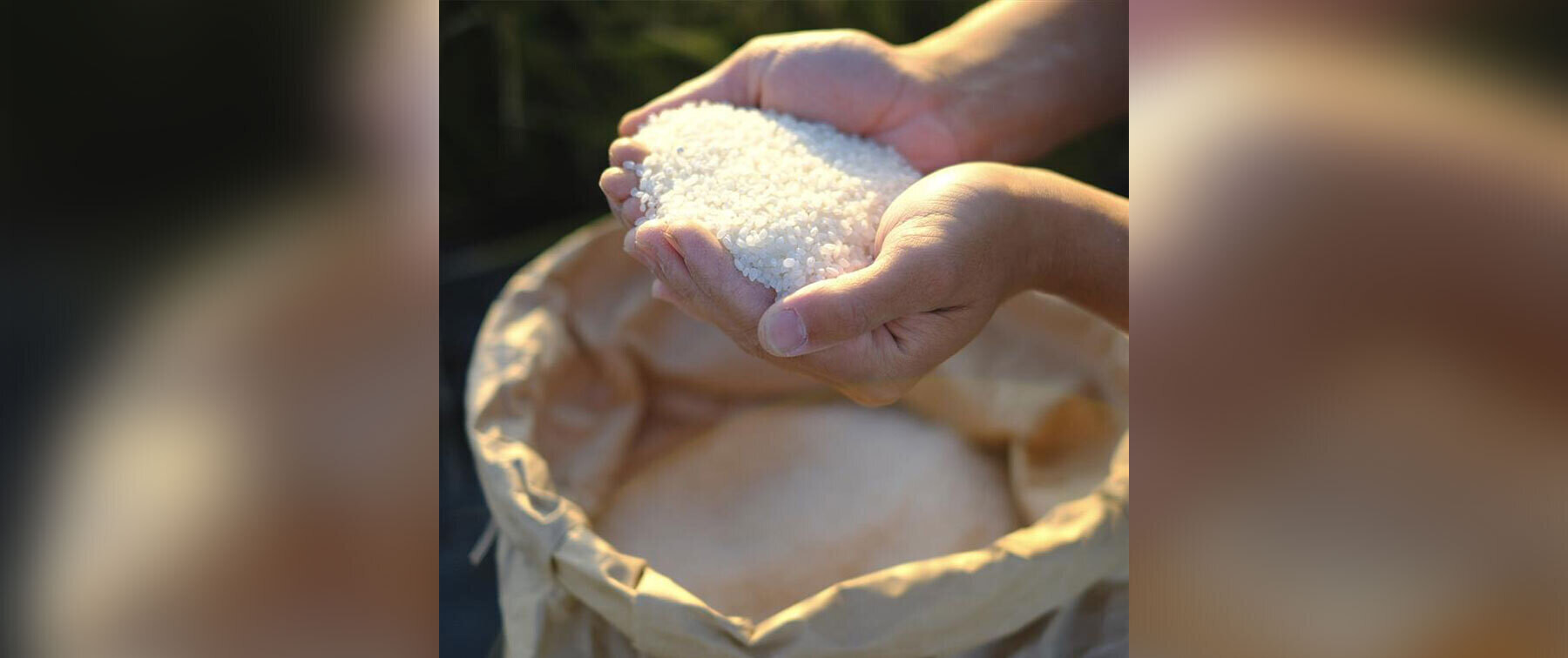 [2/6開催]【ザ・リッツ・カールトン京都】ヤマダファーム × 月の桂 × 伏見乃  水暉コラボレーションイベントの2枚目のカバー画像