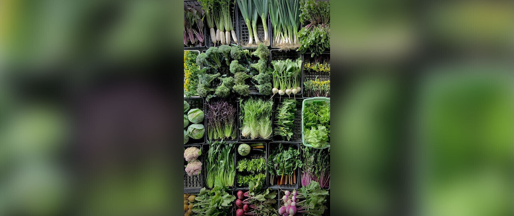 [2/6開催]【ザ・リッツ・カールトン京都】ヤマダファーム × 月の桂 × 伏見乃  水暉コラボレーションイベントの4枚目のカバー画像