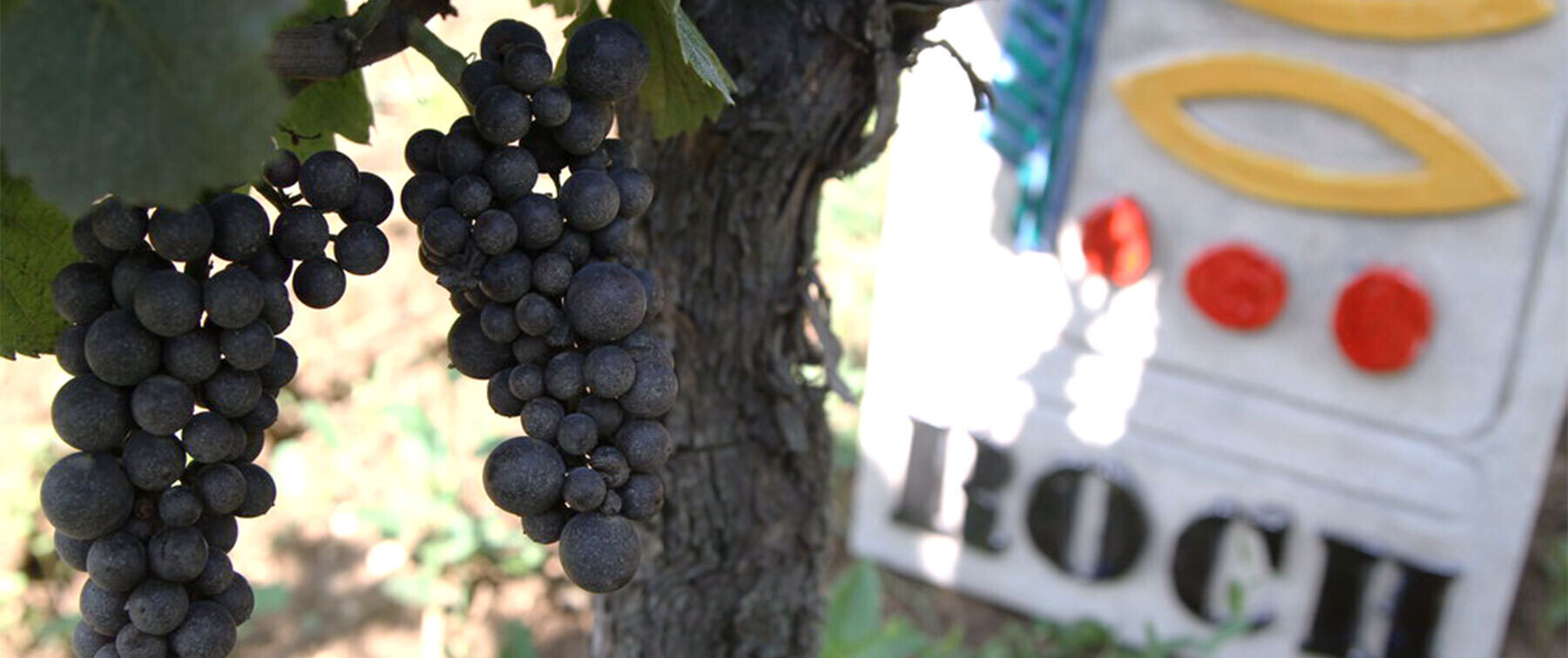 [開催終了][12/11開催] SÉZANNE (セザン)  × プリューレ・ロック(Prieuré Roch) ワインディナーイベントの3枚目のカバー画像