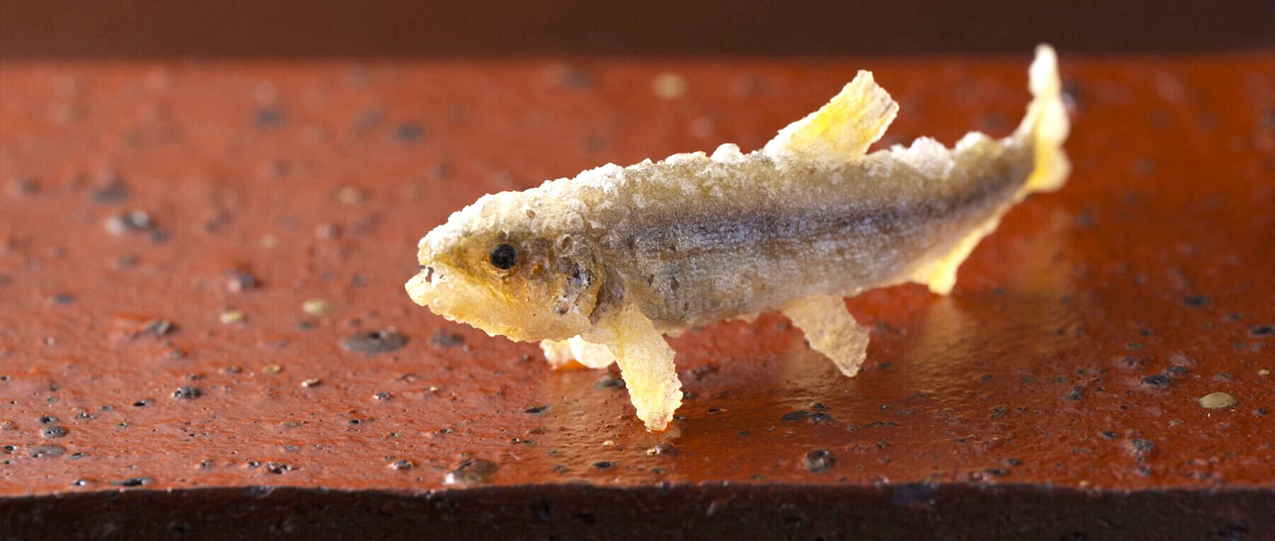 天ぷら 桜人の2枚目のカバー画像