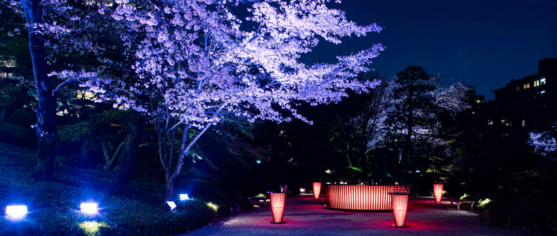 [開催終了]VOGUE In Bloomの3枚目のカバー画像