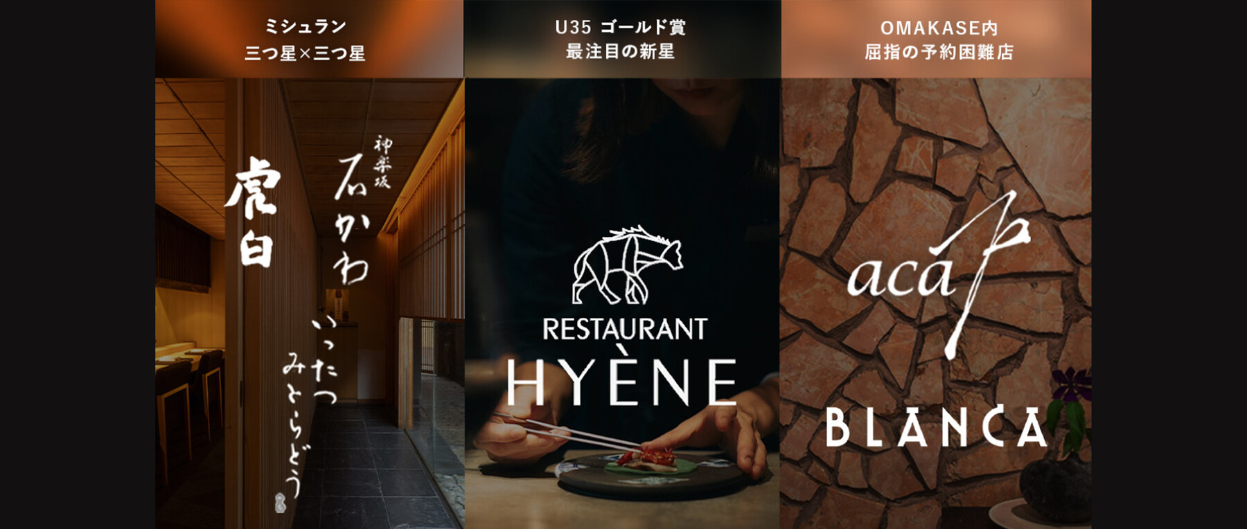 [開催終了]VOGUE In Bloomの2枚目のカバー画像