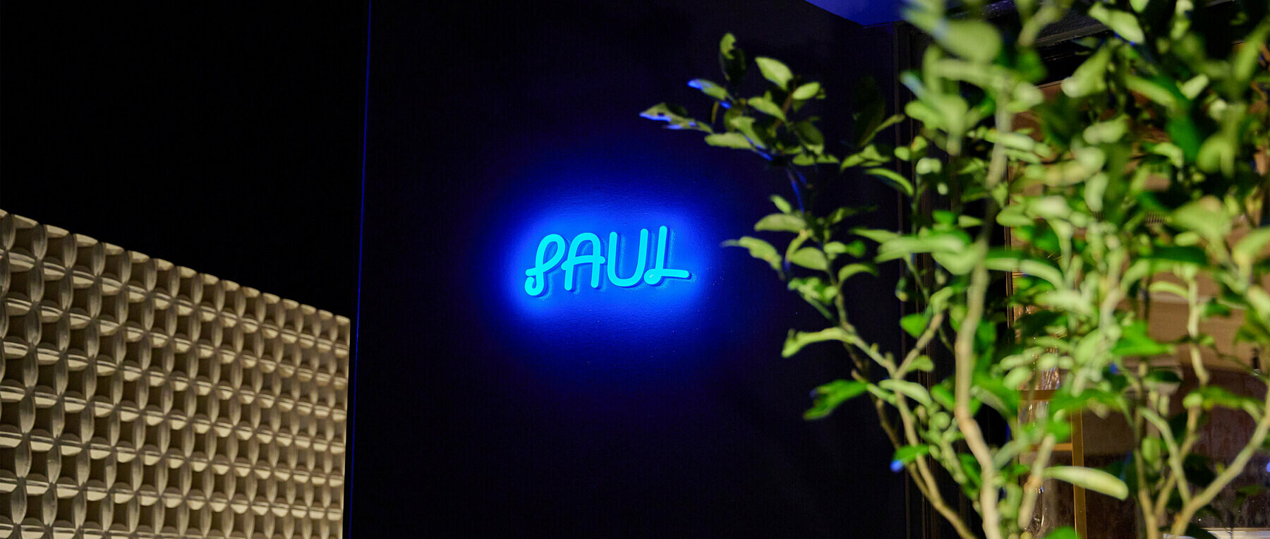 PAULの1枚目のカバー画像